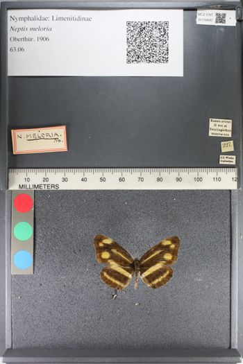 Media type: image;   Entomology 134697